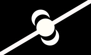 Flag of IS.jpeg