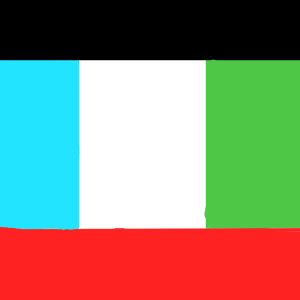 SS Flag.png
